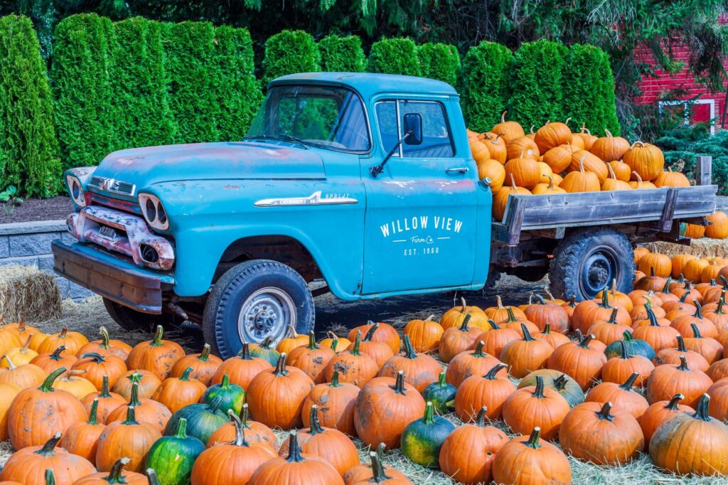 three-ways-to-cook-with-canned-pumpkin-on-national-pumpkin-day-smart