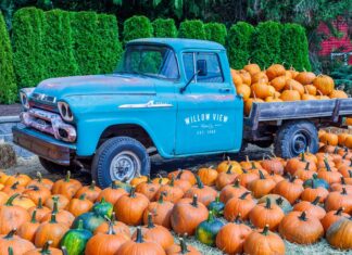 Three Ways to Cook with Canned Pumpkin on National Pumpkin Day