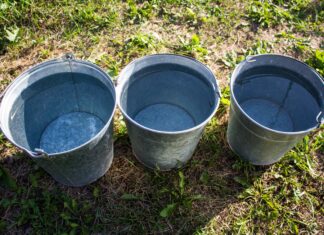 Principles of Financial Planning Series: A Three-Bucket Approach to Your Finances