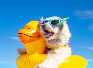 Summer FUN Without Losing Your Financial Focus