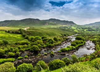 Learn About St. Brigid of Kildare This St. Patrick’s Day