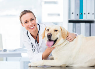 Should I get Pet Insurance?