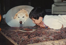 Building a Lifelong Reading Habit