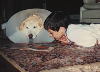 Building a Lifelong Reading Habit